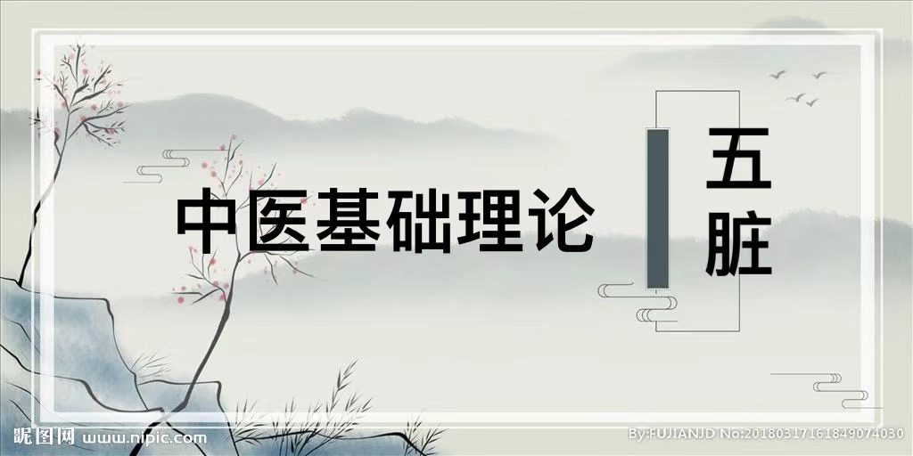 05五脏