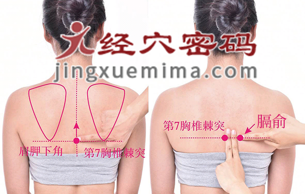 膈俞穴的准确位置图及快速取穴图解（标准定位方法）