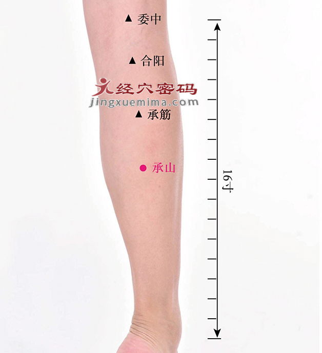 承山穴04