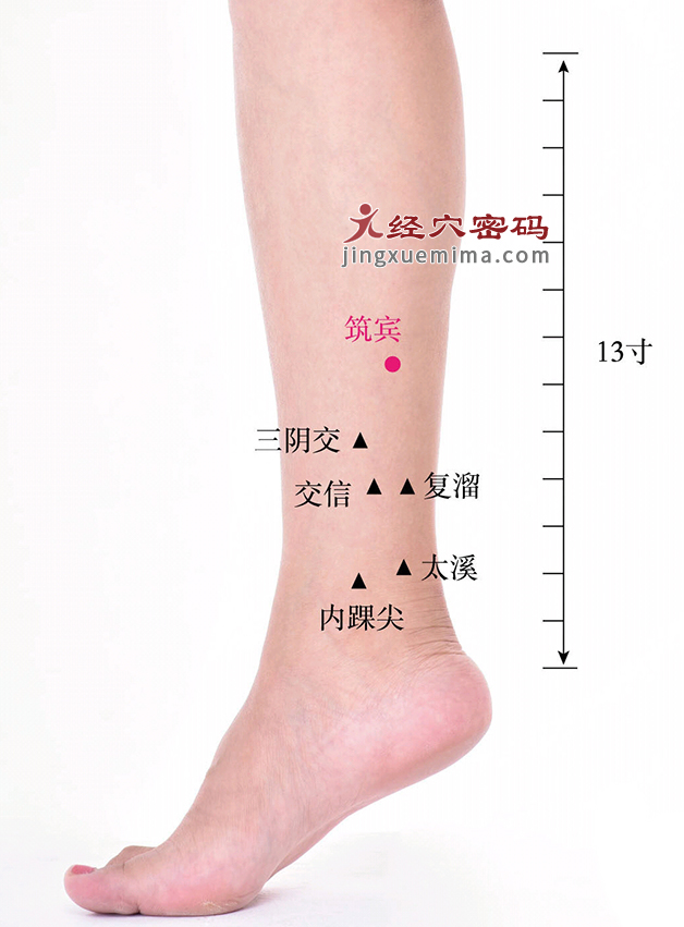 筑宾穴04