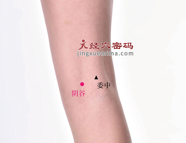 阴谷穴04