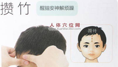 小儿穴位图：攒竹