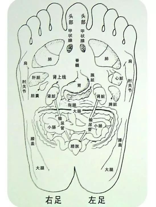 中药外治养身之道