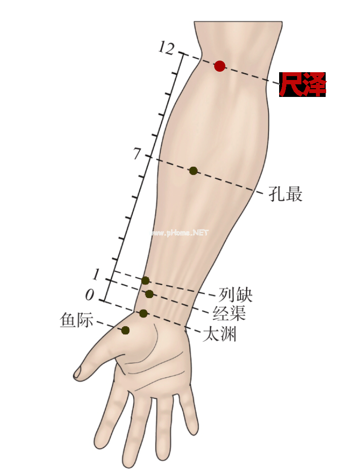 一文读懂！新冠感染早期5大症状的经络自救