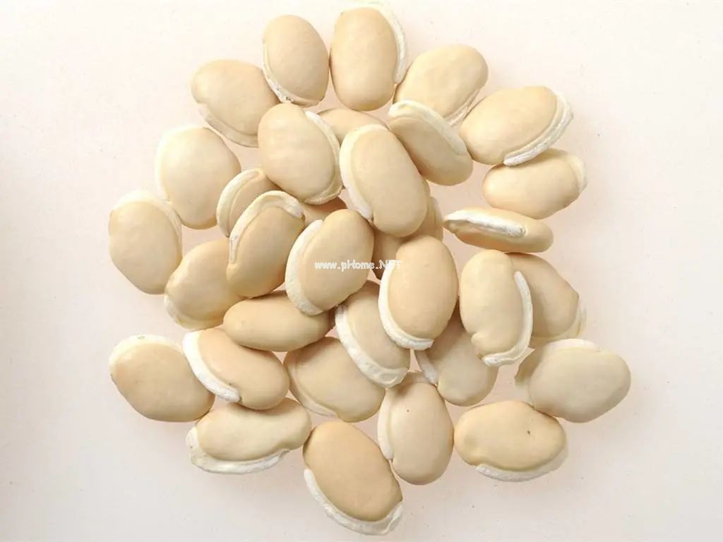 消暑化湿还健脾，这颗豆豆有奇功