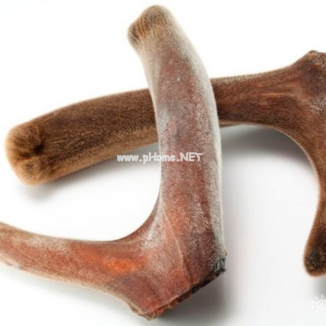 吃点鹿茸“补身体”，药师：这些人不能随便吃！