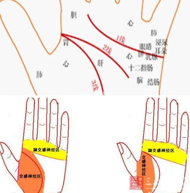 手诊、面诊、眼诊、嘴诊【收藏学习】