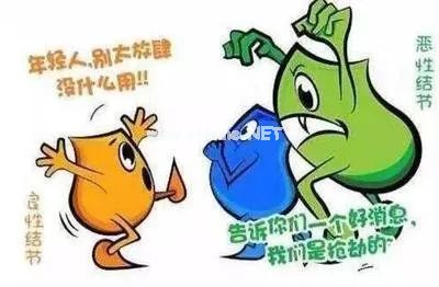 它长得像猫爪子，却是一味治疗结节的良药