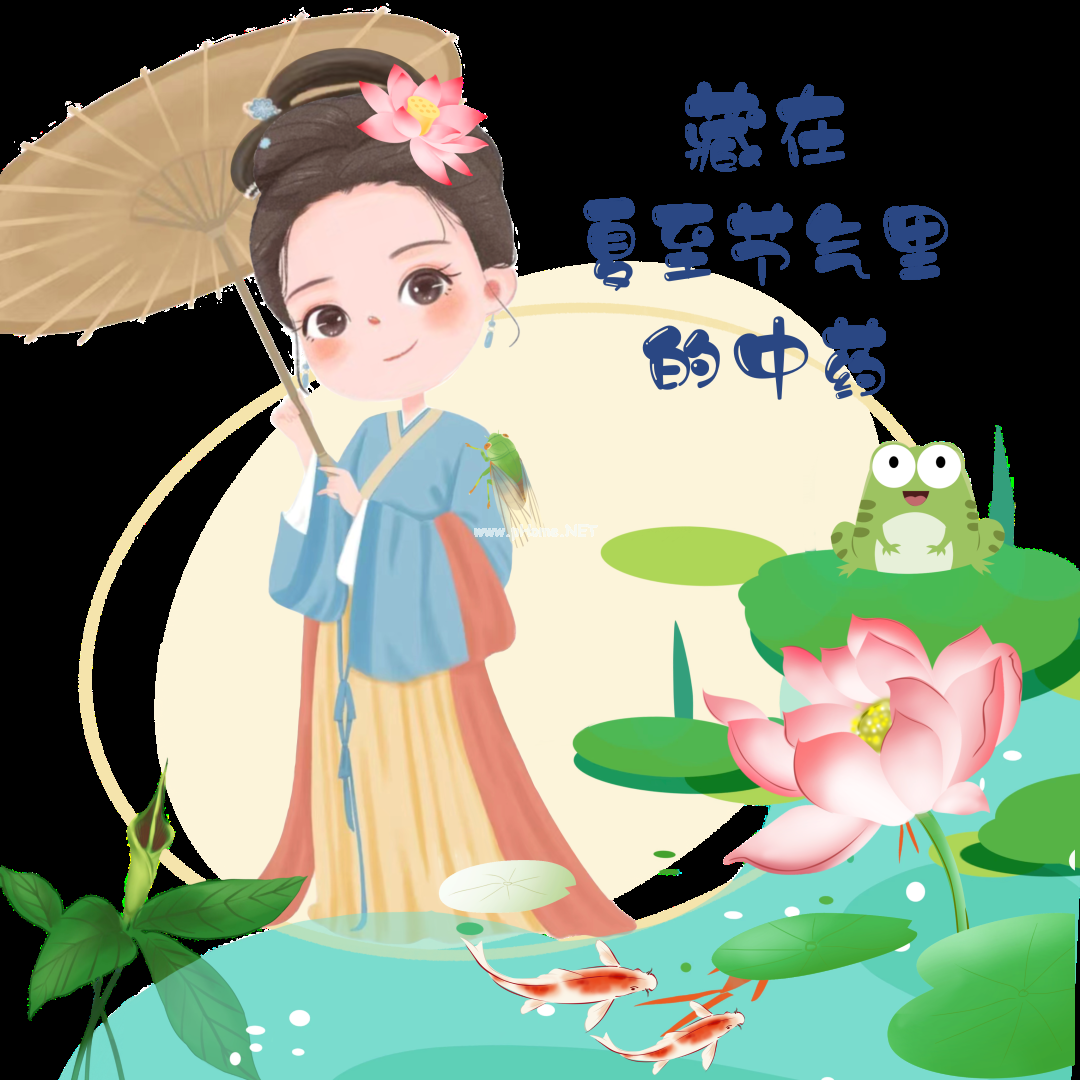 夏已至——藏在节气里的中药
