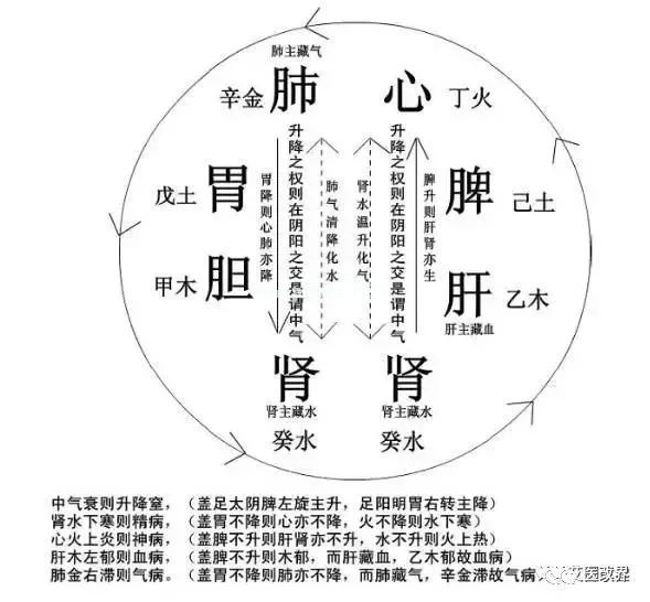 图解中医，33条帮你更好地了解中医思维！
