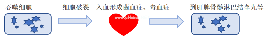 发热、咽部疱疹就是疱疹性咽峡炎？