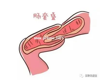 儿童腹泻的危害