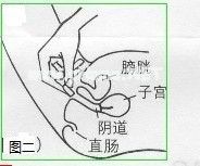 【每日一药】克霉唑栓（友南）