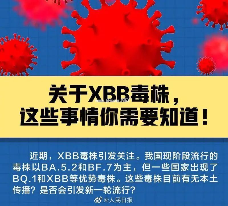 XBB的致病力增加了吗？五问五答，转需了解