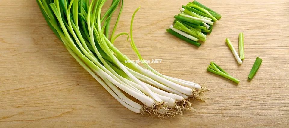 春天里，守护孩子的蔬菜们！