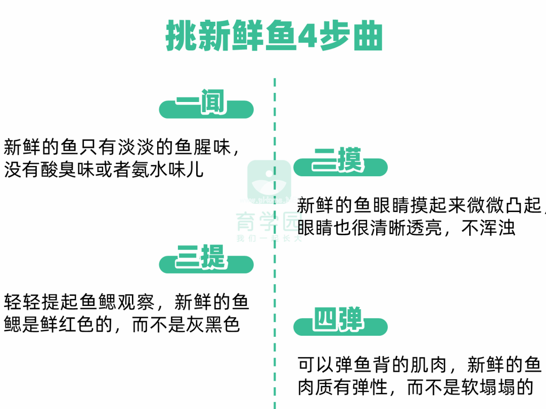 孩子吃鱼更聪明？这4种鱼一口都别多吃！