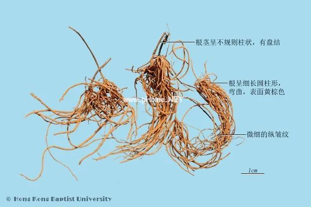 这些好听的中药，你认识几个？