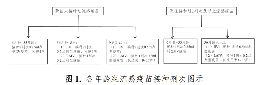 新版「流感疫苗预防接种指南」发布，这类儿童为重点接种人群！