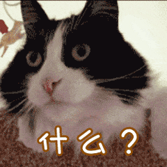四逆汤和四逆散，可不止一字之差！！！