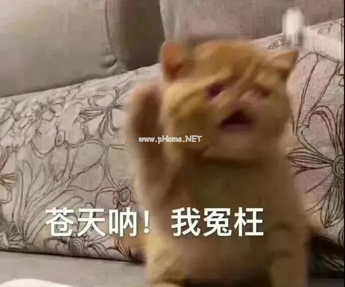 一考试就想跑厕所，可能真不是装病……