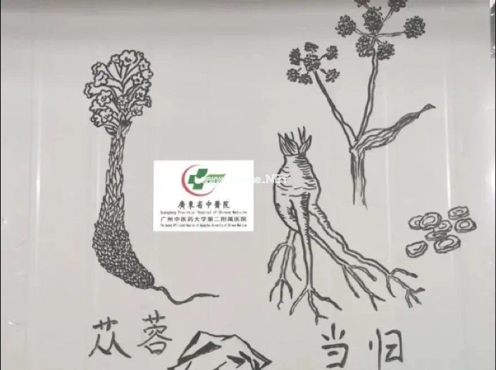 坚守楚地抗瘟疫，樱花盛开“苁蓉”归