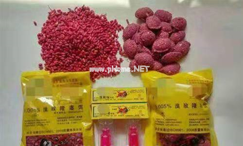 蹊跷的出血：女童全身针尖样瘀点+瘀斑，究竟为何？