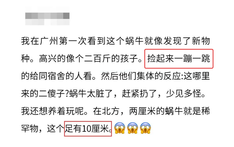 下雨后看到这种动物，千万别碰！立刻弄死！