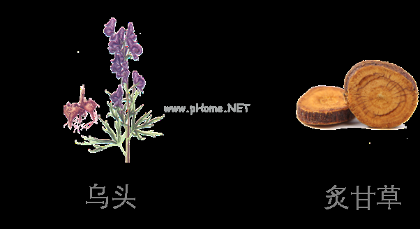 中药炮制那些事