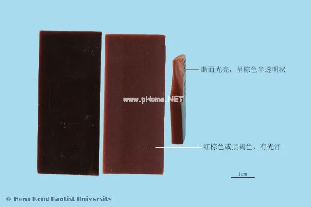 阿胶补血究竟是不是交智商税？药师来为它正名！