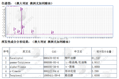 澳洲尤加利精油—呼吸道的守护神（更新版）