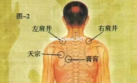 摸乳房，很讲究技巧的。。。。(真人动态图解）