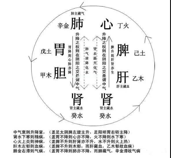 图解中医，33条帮你更好地了解中医思维！