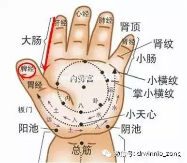 程老师说 | 宝宝急性肠胃炎该如何处理？最安全有效的方法在这里！