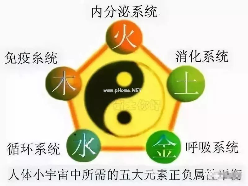 图解中医，33条帮你更好地了解中医思维！
