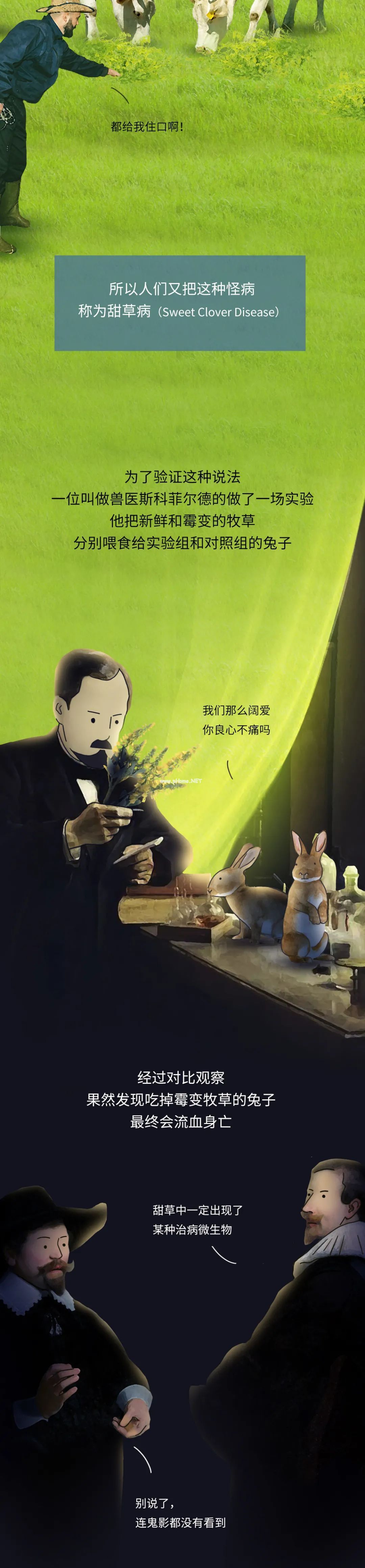 血腥中诞生的救命药,每年拯救上千万人! 血腥中诞生的救命药,每年拯救上千万人!