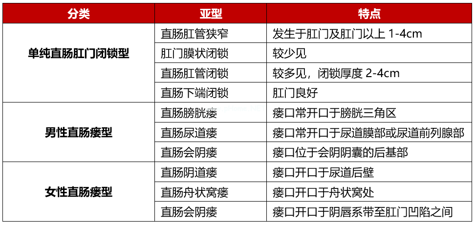 为什么孩子生下来没有肛门? 为什么孩子生下来没有肛门?