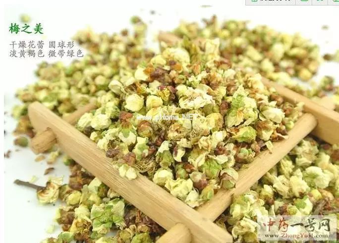 漂亮的白梅花，竟然有个好听的中药名“绿萼梅”