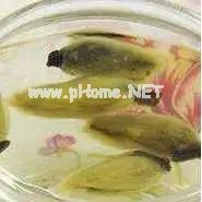 春天里的这朵花，治鼻炎有奇效