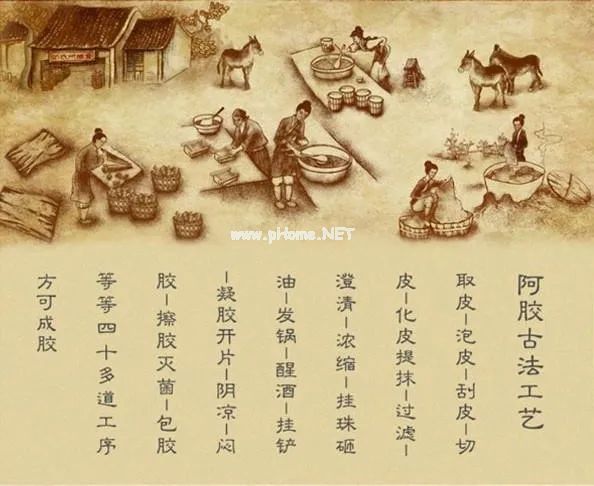 阿胶补血究竟是不是交智商税？药师来为它正名！