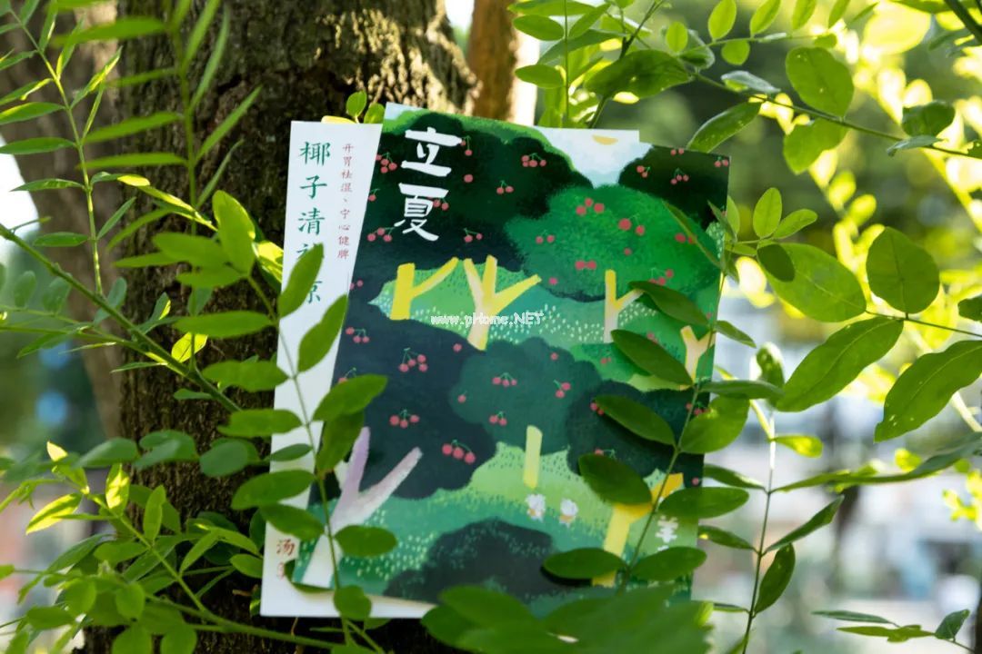 立夏后，要喝健脾补气的“活泼泼”汤，助力宝宝长高个儿
