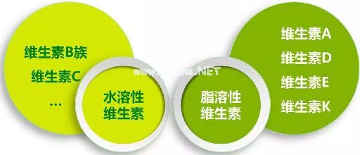 带你发掘茶叶中的“药品”成分