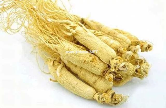 冬季进补，你准备好了吗？ 滋补佳品——高丽参