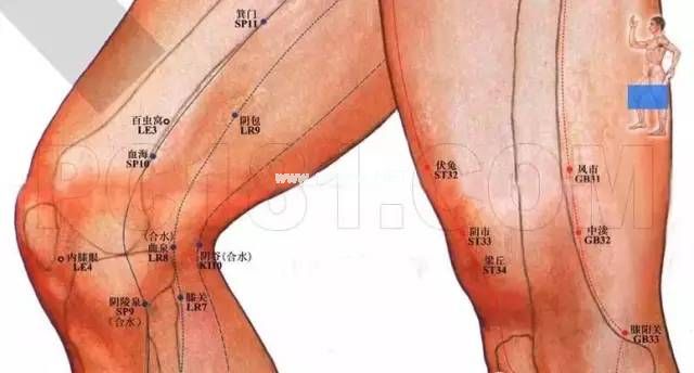 腿诊：人病腿先知，从腿部预测身体疾病！
