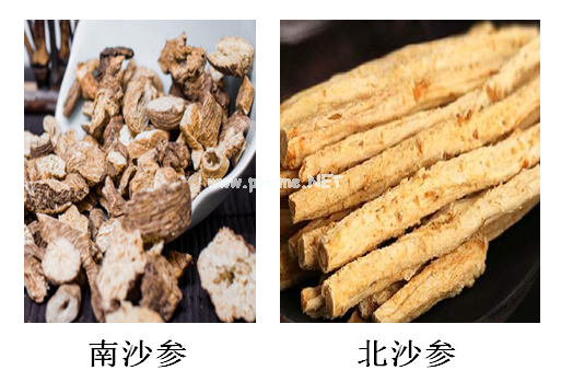 手把手教你认识各种“参” 手把手教你认识各种“参”