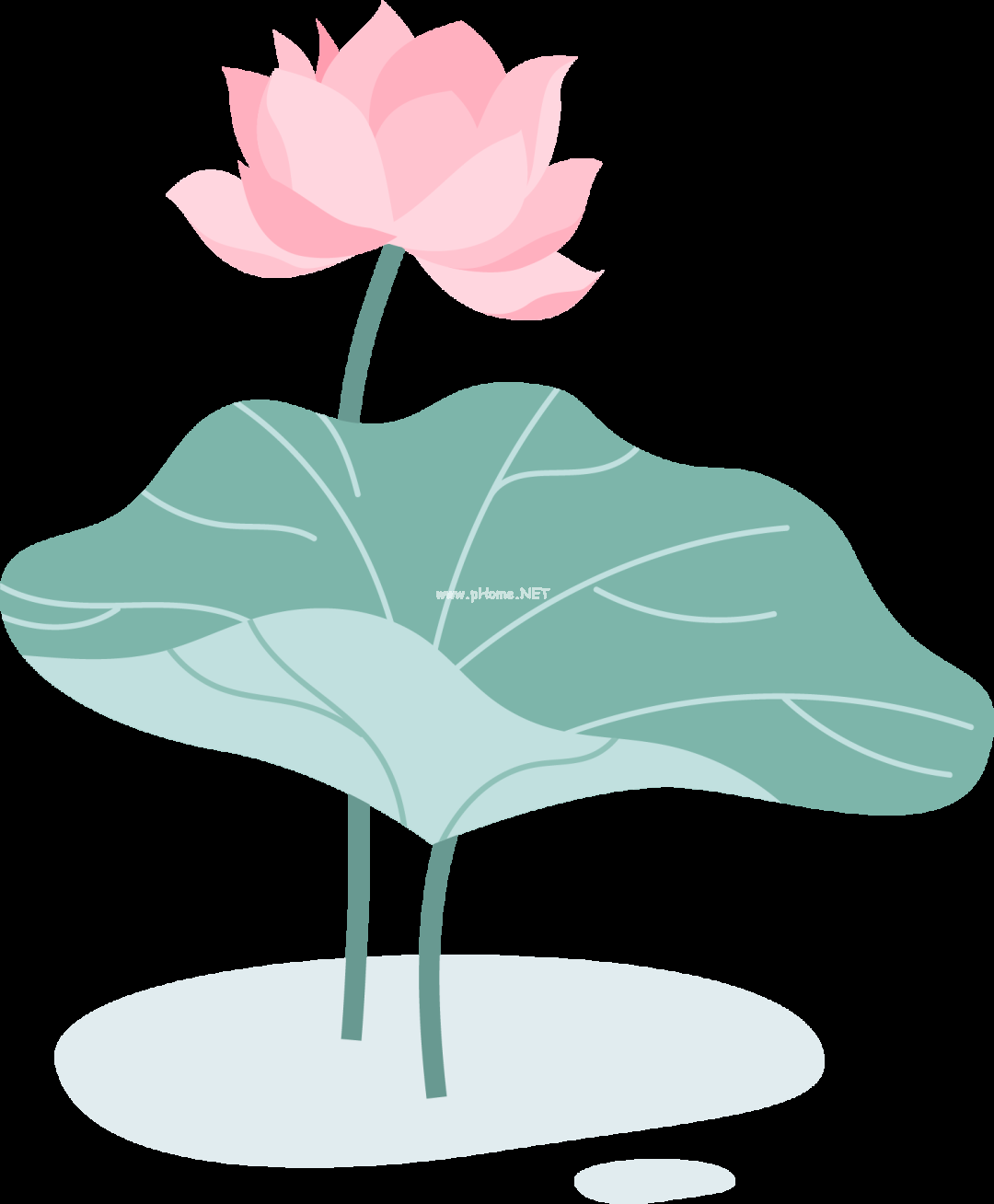 古有描眉印染之功，今为小儿常备良药——青黛