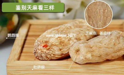 这款“神仙草”治好了曹操的头疼病