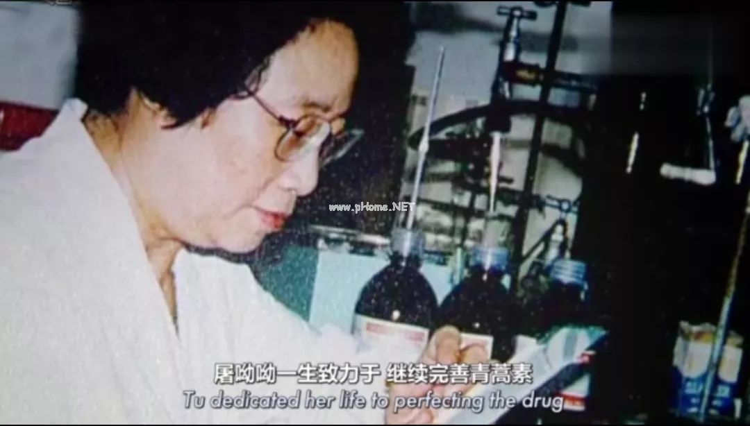 外感发热—青蒿外洗可以帮到您