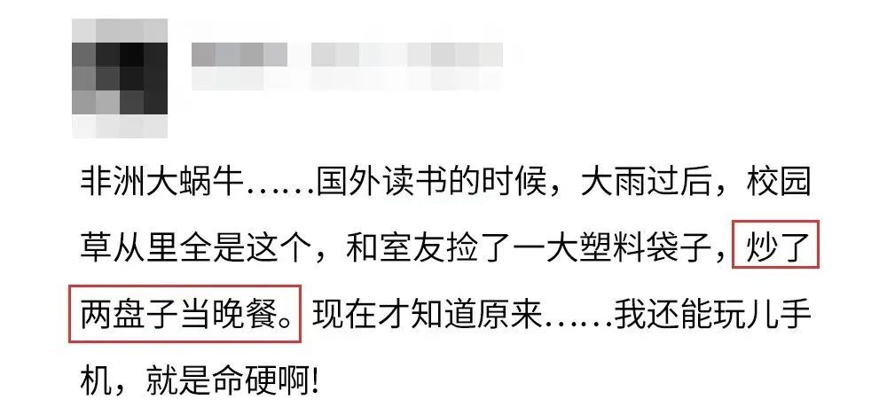 下雨后看到这种动物，千万别碰！立刻弄死！