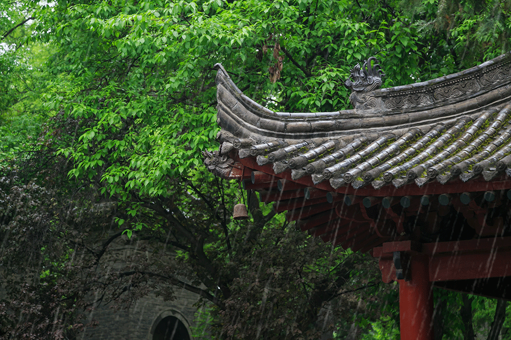 雨天，宜低调养娃，来一碗祛湿粥！