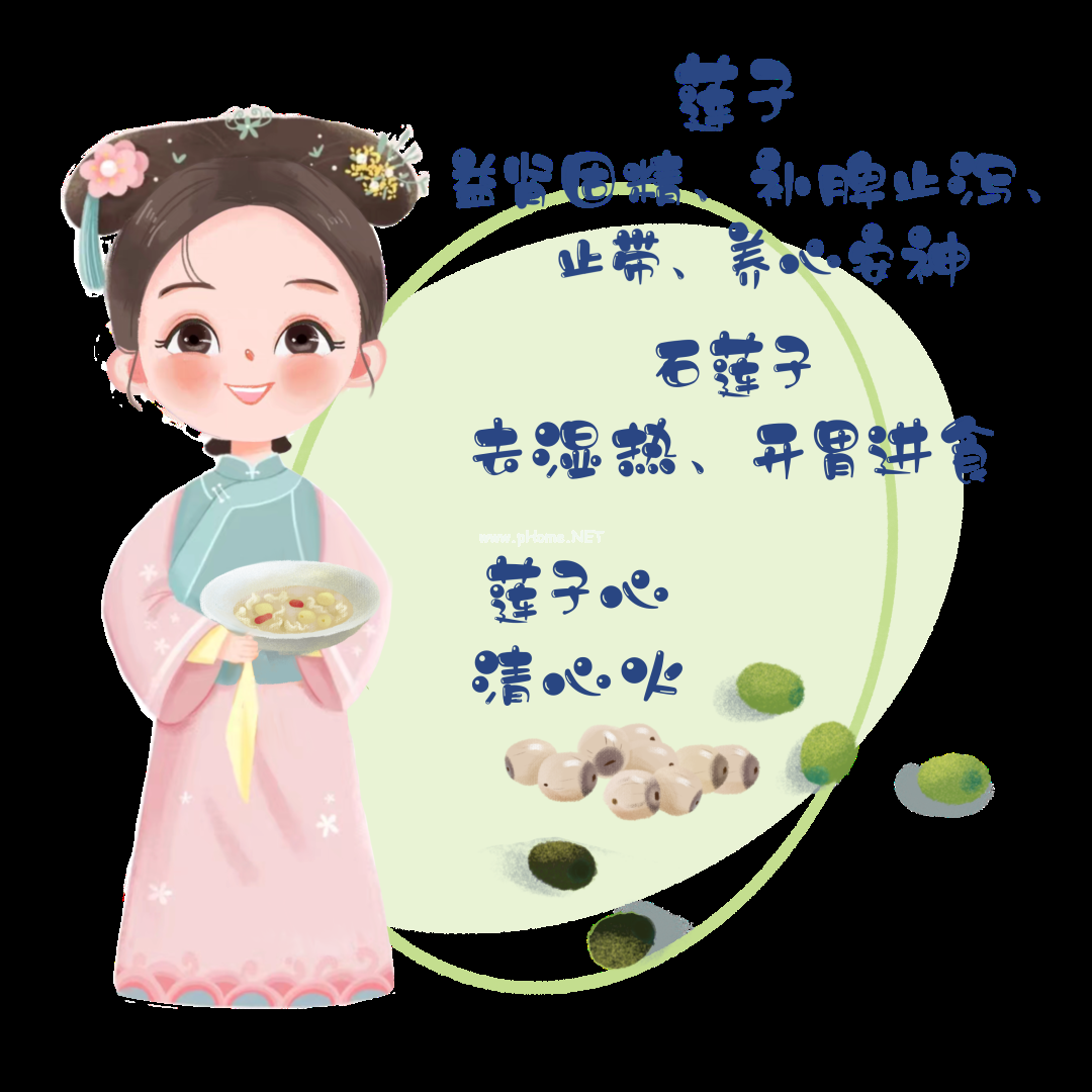 夏已至——藏在节气里的中药